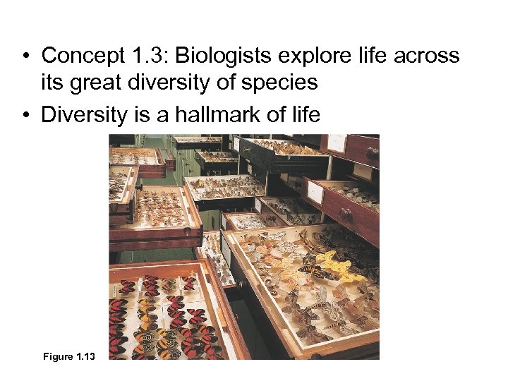  • Concept 1. 3: Biologists explore life across its great diversity of species