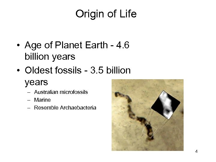 Origin of Life • Age of Planet Earth - 4. 6 billion years •