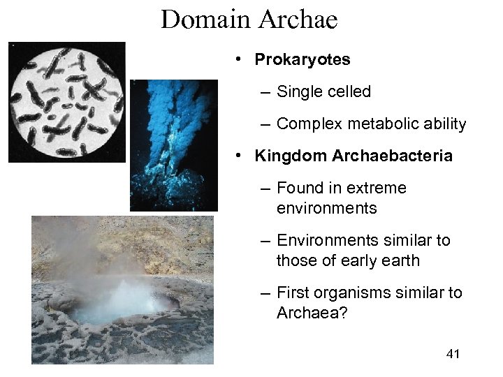 Domain Archae • Prokaryotes – Single celled – Complex metabolic ability • Kingdom Archaebacteria