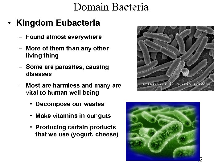 Domain Bacteria • Kingdom Eubacteria – Found almost everywhere – More of them than