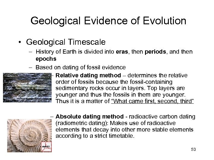  Geological Evidence of Evolution • Geological Timescale – History of Earth is divided