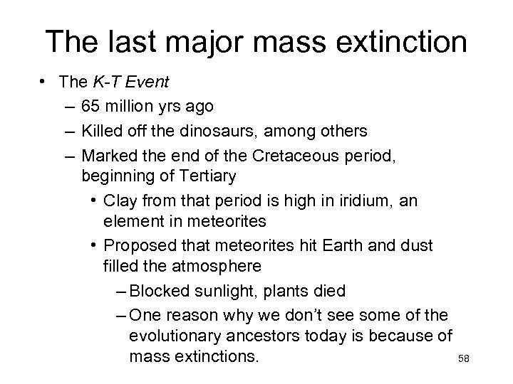 The last major mass extinction • The K-T Event – 65 million yrs ago