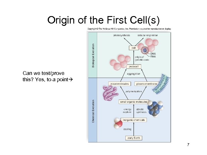 Origin of the First Cell(s) Can we test/prove this? Yes, to a point 7