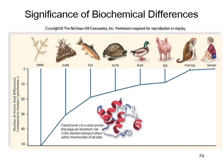 Significance of Biochemical Differences 74 