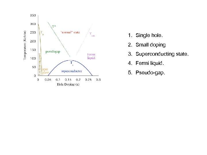 1. Single hole. 2. Small doping 3. Superconducting state. 4. Fermi liquid. 5. Pseudo-gap.