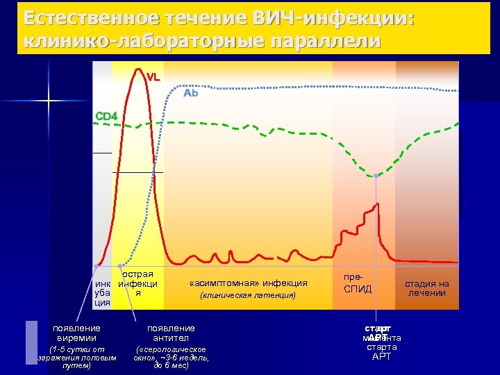 Периоды течения вич