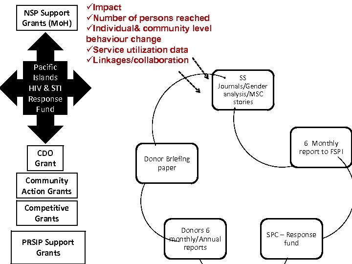 NSP Support Grants (Mo. H) Pacific Islands HIV & STI Response Fund CDO Grant
