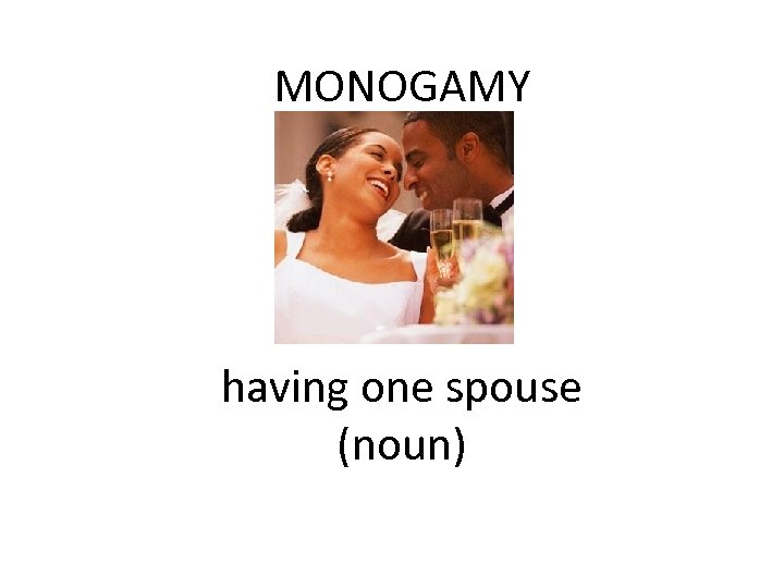 MONOGAMY having one spouse (noun) 