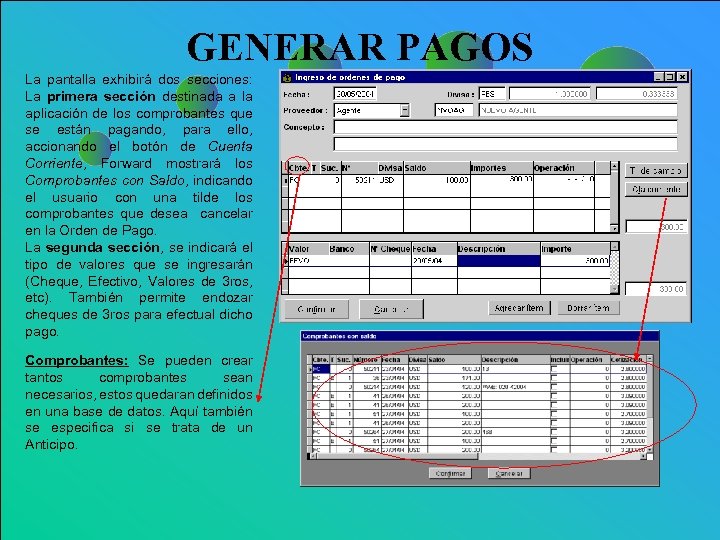 GENERAR PAGOS La pantalla exhibirá dos secciones: La primera sección destinada a la aplicación