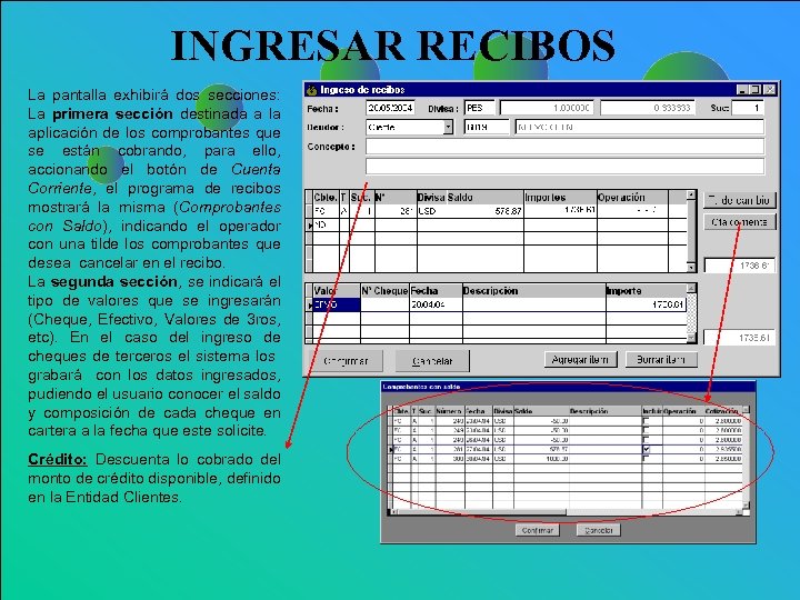 INGRESAR RECIBOS La pantalla exhibirá dos secciones: La primera sección destinada a la aplicación