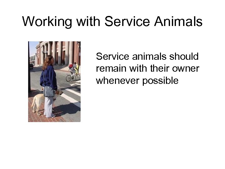 Working with Service Animals Service animals should remain with their owner whenever possible 
