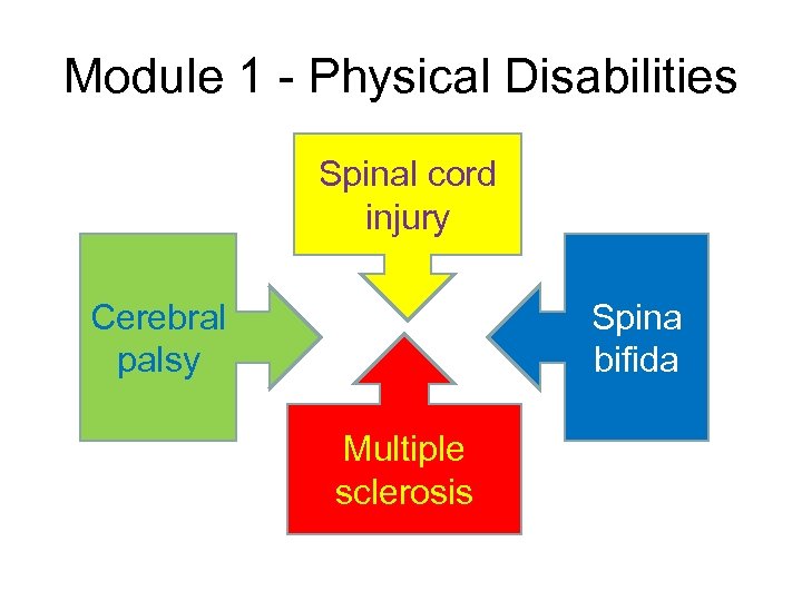 Module 1 - Physical Disabilities Spinal cord injury Cerebral palsy Spina bifida Multiple sclerosis