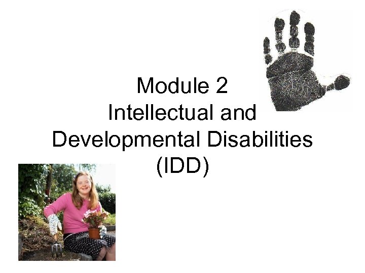 Module 2 Intellectual and Developmental Disabilities (IDD) 