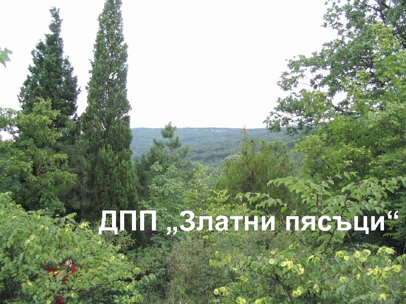 “ ДПП „Златни пясъци“ 
