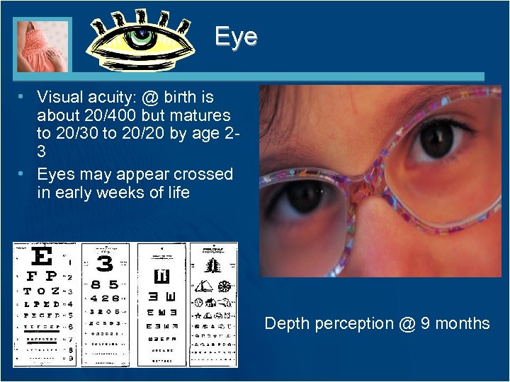 Eye • Visual acuity: @ birth is about 20/400 but matures to 20/30 to