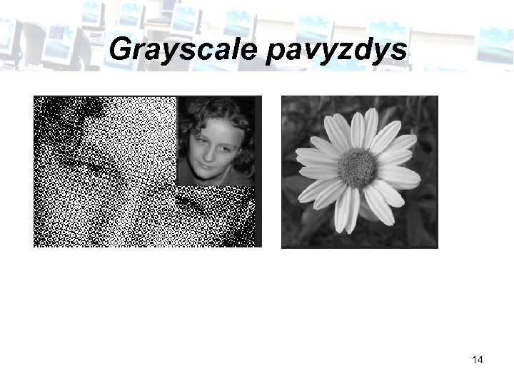 Grayscale pavyzdys 14 