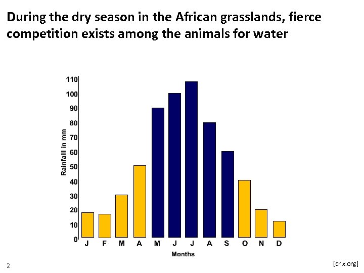 During the dry season in the African grasslands, fierce competition exists among the animals