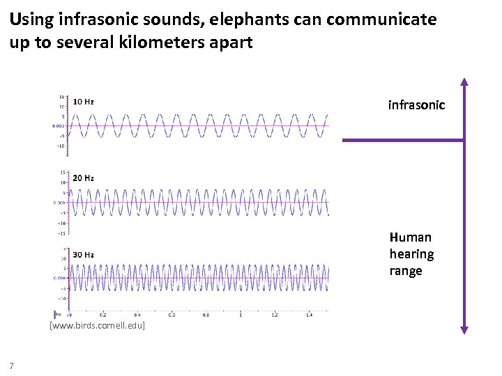 Using infrasonic sounds, elephants can communicate up to several kilometers apart infrasonic Human hearing