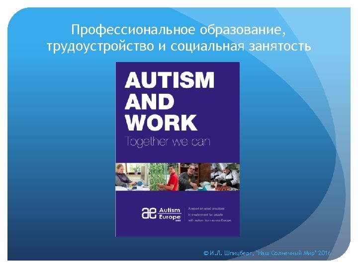 Профессиональное образование, трудоустройство и социальная занятость © И. Л. Шпицберг, 