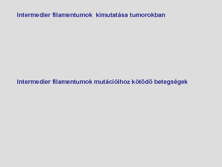 Intermedier filamentumok kimutatása tumorokban Intermedier filamentumok mutációihoz kötődő betegségek 