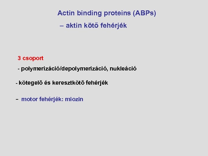 Actin binding proteins (ABPs) – aktin kötő fehérjék 3 csoport - polymerizáció/depolymerizáció, nukleáció -