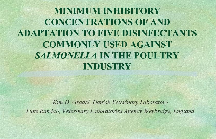 MINIMUM INHIBITORY CONCENTRATIONS OF AND ADAPTATION TO FIVE DISINFECTANTS COMMONLY USED AGAINST SALMONELLA IN