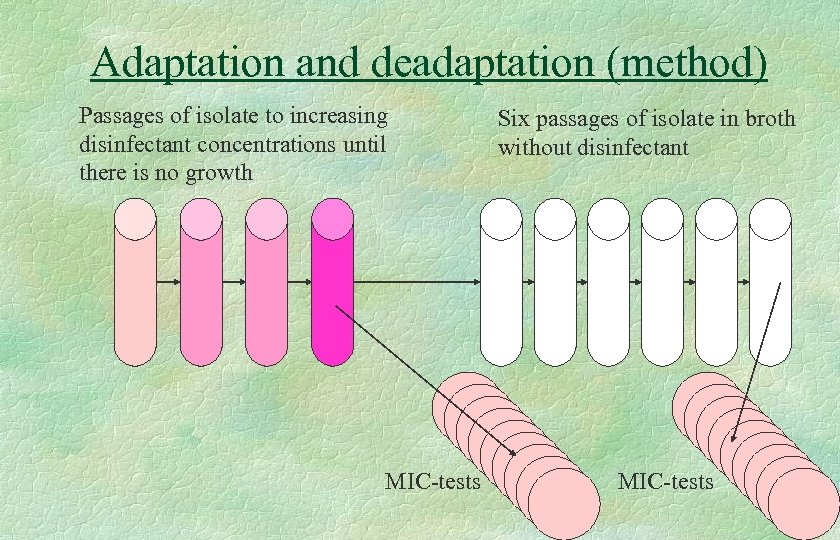 Adaptation and deadaptation (method) Passages of isolate to increasing disinfectant concentrations until there is