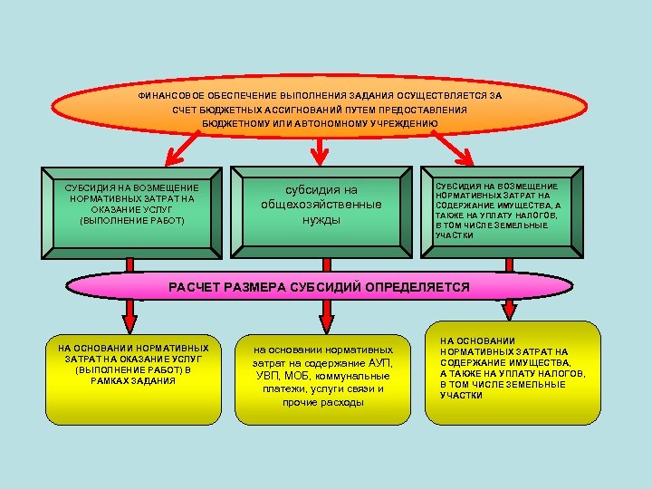ФИНАНСОВОЕ ОБЕСПЕЧЕНИЕ ВЫПОЛНЕНИЯ ЗАДАНИЯ ОСУЩЕСТВЛЯЕТСЯ ЗА СЧЕТ БЮДЖЕТНЫХ АССИГНОВАНИЙ ПУТЕМ ПРЕДОСТАВЛЕНИЯ БЮДЖЕТНОМУ ИЛИ АВТОНОМНОМУ