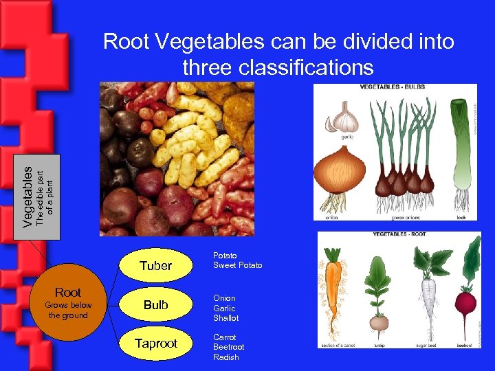 The edible part of a plant Vegetables Root Vegetables can be divided into three