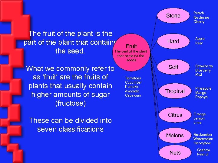 Stone The fruit of the plant is the part of the plant that contains