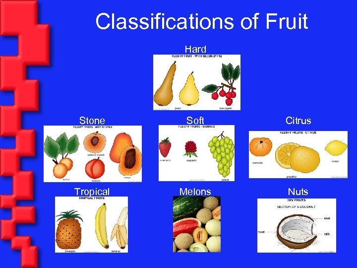 Classifications of Fruit Hard Stone Soft Citrus Tropical Melons Nuts 