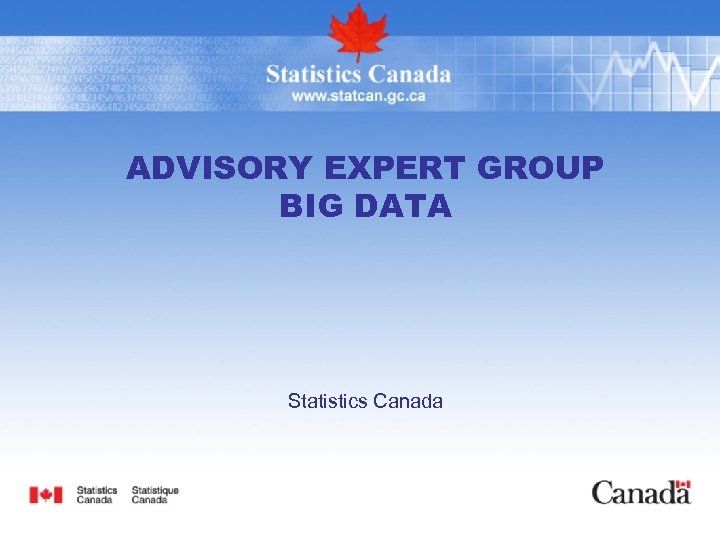 ADVISORY EXPERT GROUP BIG DATA Statistics Canada 