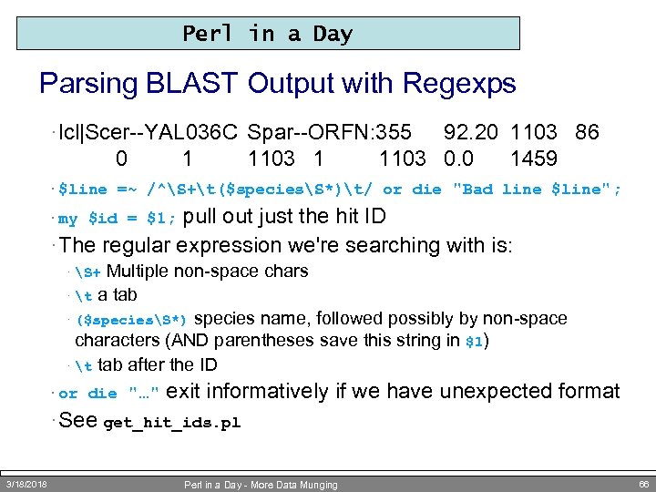Perl in a Day Parsing BLAST Output with Regexps · lcl|Scer--YAL 036 C Spar--ORFN: