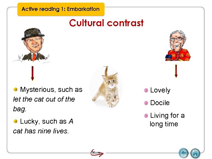 Active reading 1: Embarkation Cultural contrast Mysterious, such as let the cat out of