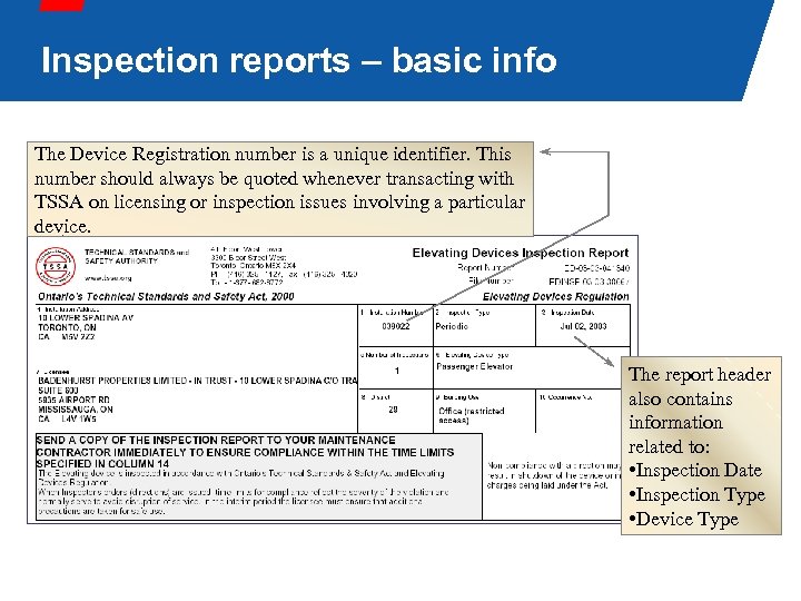 Inspection reports – basic info The Device Registration number is a unique identifier. This