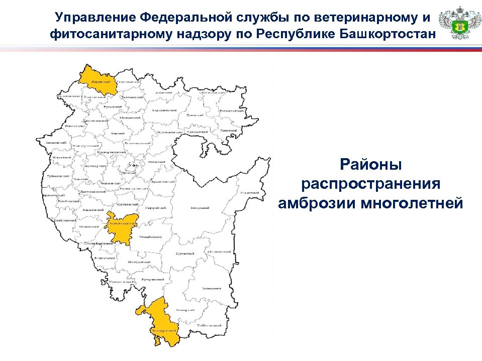 Управление Федеральной службы по ветеринарному и фитосанитарному надзору по Республике Башкортостан Районы распространения амброзии