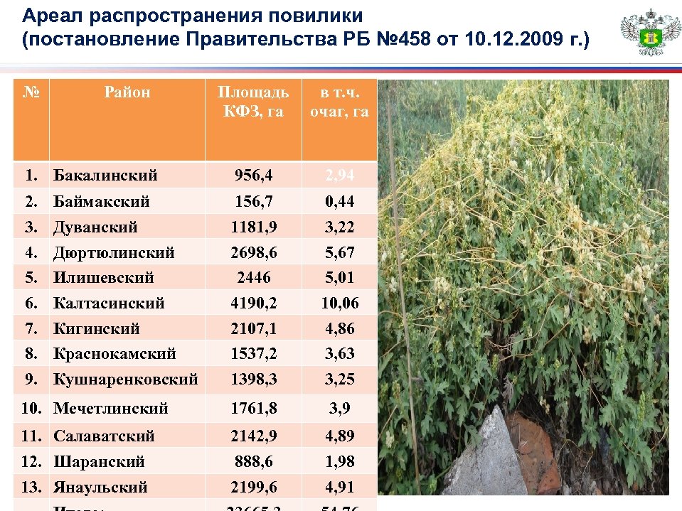 Ареал распространения повилики (постановление Правительства РБ № 458 от 10. 12. 2009 г. )