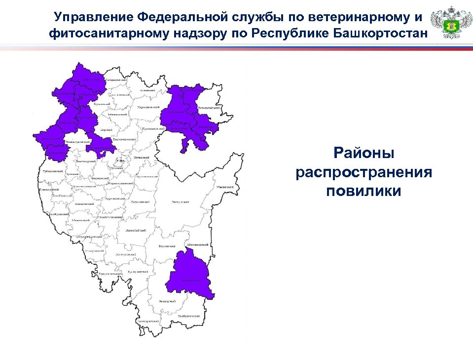 Управление Федеральной службы по ветеринарному и фитосанитарному надзору по Республике Башкортостан Районы распространения повилики