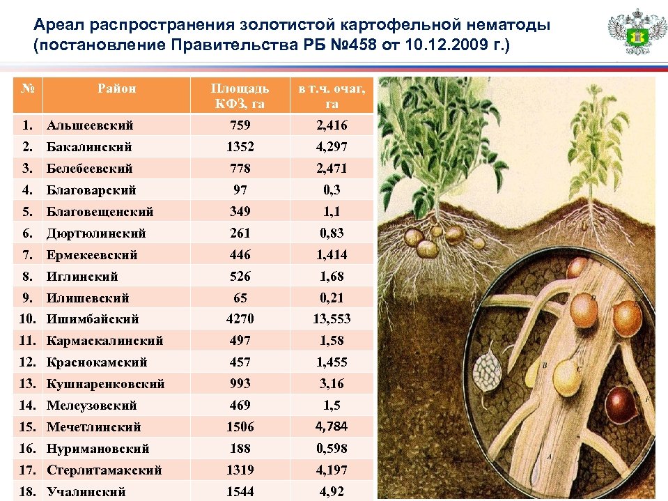 Карта распространения картофеля