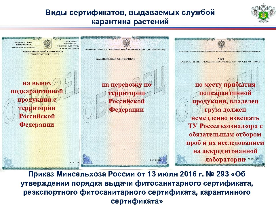 Виды сертификатов, выдаваемых службой карантина растений на вывоз подкарантинной продукции с 1. Единые территории