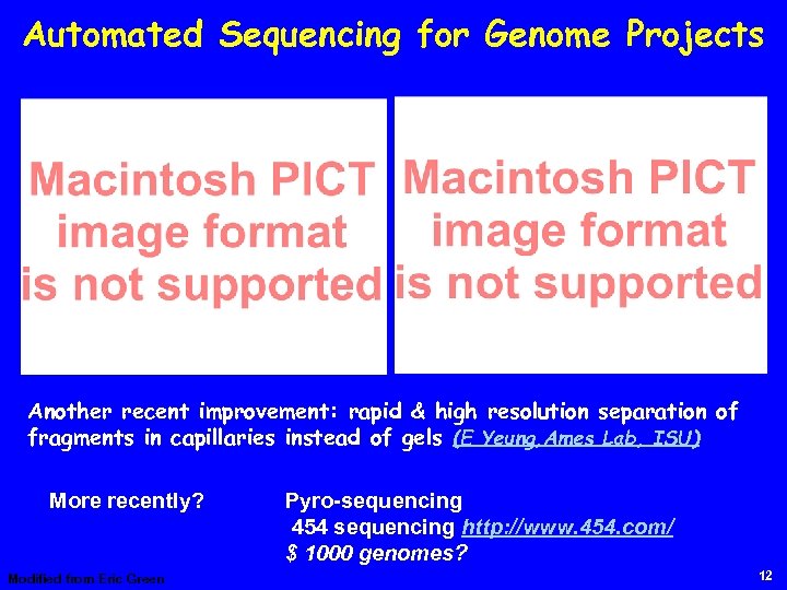 Automated Sequencing for Genome Projects Another recent improvement: rapid & high resolution separation of