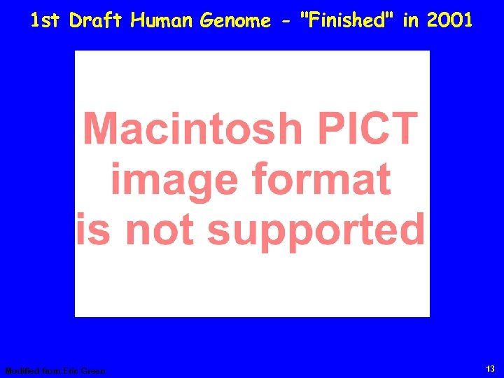 1 st Draft Human Genome - "Finished" in 2001 Modified from Eric Green 13