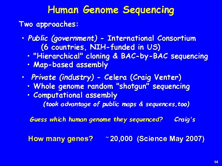 Human Genome Sequencing Two approaches: • Public (government) - International Consortium (6 countries, NIH-funded