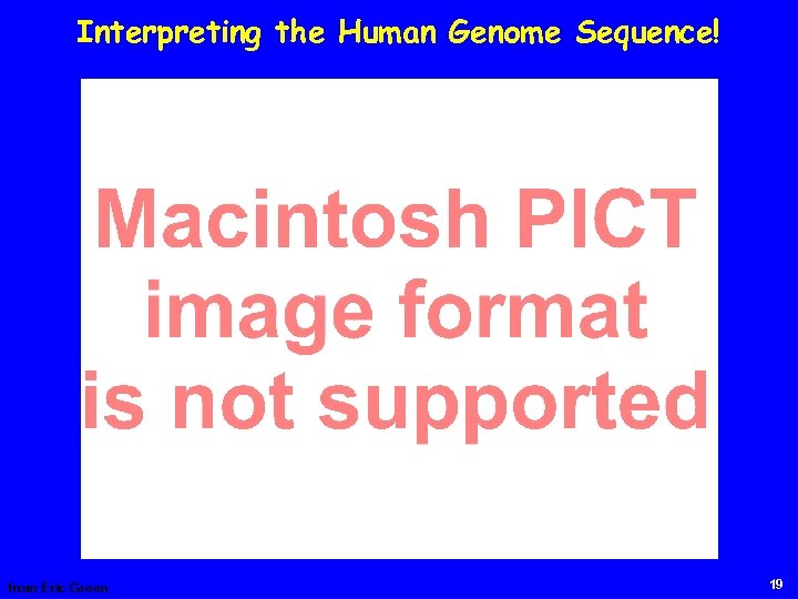 Interpreting the Human Genome Sequence! from Eric Green 19 