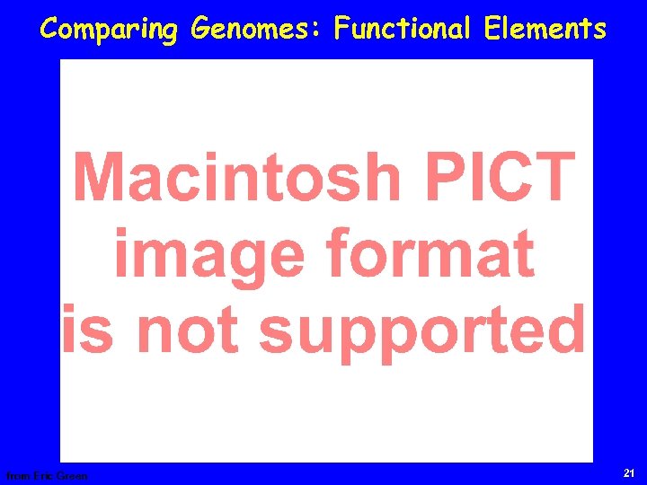Comparing Genomes: Functional Elements from Eric Green 21 