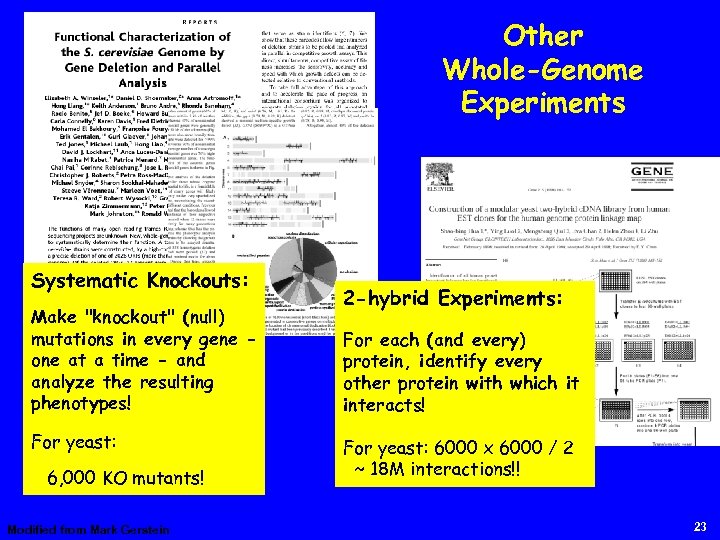 Other Whole-Genome Experiments Systematic Knockouts: Make "knockout" (null) mutations in every gene one at
