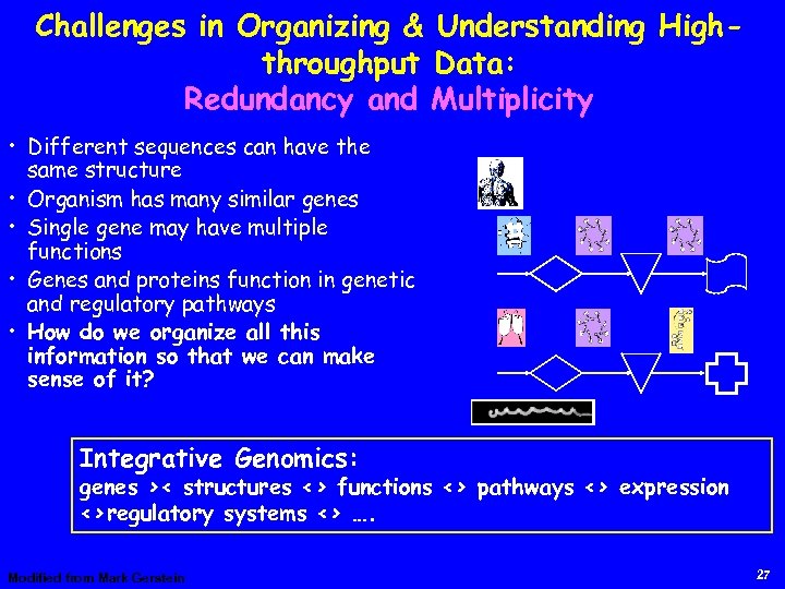 Challenges in Organizing & Understanding Highthroughput Data: Redundancy and Multiplicity • Different sequences can