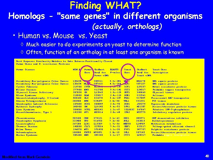 Finding WHAT? Homologs - "same genes" in different organisms (actually, orthologs) • Human vs.