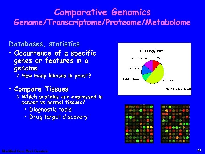 Comparative Genomics Genome/Transcriptome/Proteome/Metabolome Databases, statistics • Occurrence of a specific genes or features in