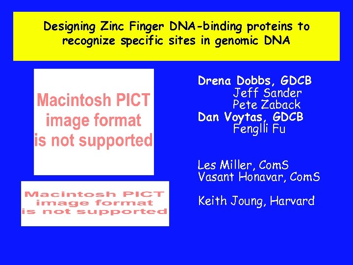 Designing Zinc Finger DNA-binding proteins to recognize specific sites in genomic DNA Drena Dobbs,